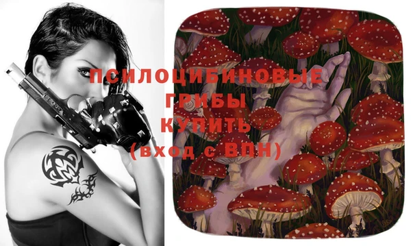 mix Арсеньев