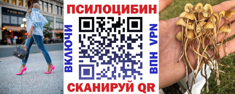 darknet какой сайт  где можно купить наркотик  кракен ТОР  Лукоянов  Псилоцибиновые грибы Cubensis 